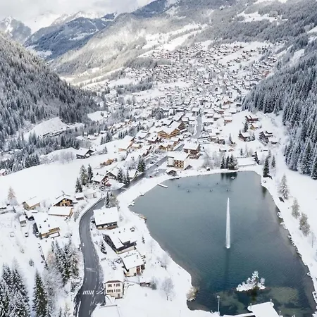 Myrtilles In * Châtel